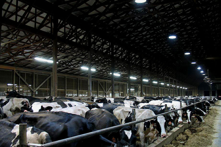 cbm-led-lighting-technologies