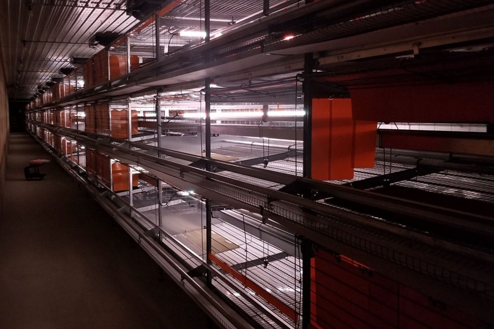 cbm-led-lighting-technologies4